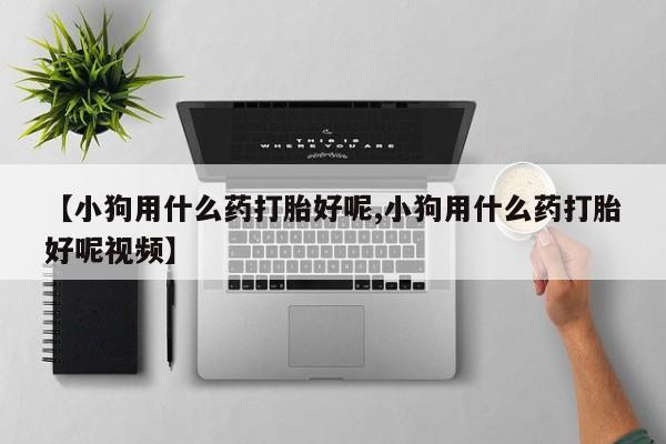 卖打胎药的医生微信号【小狗用什么药打胎好呢,小狗用什么药打胎好呢视频】