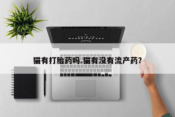 卖打胎药的医生微信号猫有打胎药吗.猫有没有流产药？