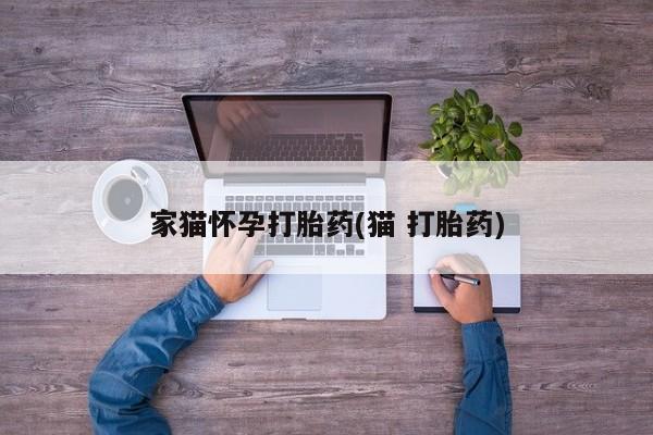 卖打胎药的医生微信号家猫怀孕打胎药(猫 打胎药)