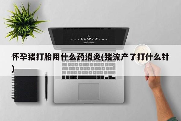卖打胎药的医生微信号怀孕猪打胎用什么药消炎(猪流产了打什么针)